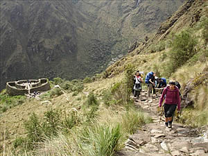 Trane d'Inca  Machu Picchu
